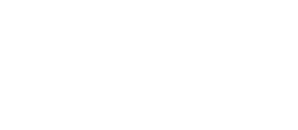 Tierfotografie Sindbad